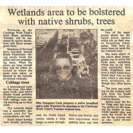 Wetlands area to be bolstered with native shrubs, trees