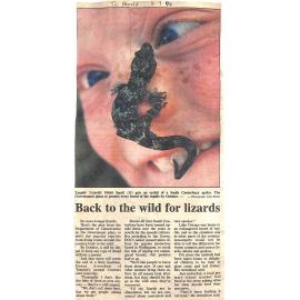 Back to the wild for lizards