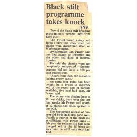 Black stilt programme takes knock