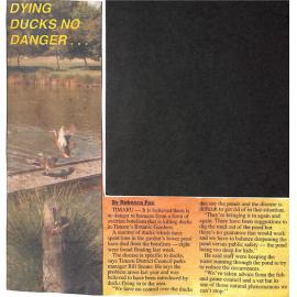 Dying ducks no danger…