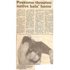 Possums threaten native bats' home