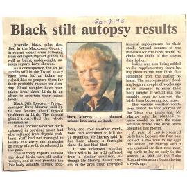 Black stilt autopsy results