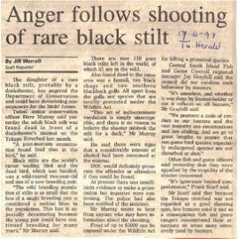 Anger follows shooting of rare black stilt