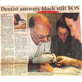 Dentist answers black stilt SOS