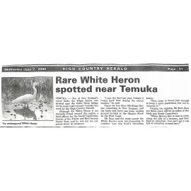 Rare White Heron spotted near Temuka