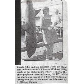 160kg shark caught at the Fishermen's Wharf, Timaru