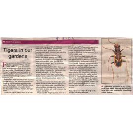 Museum piece: Tigers in our gardens