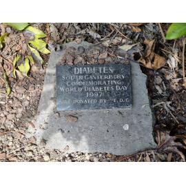 World Diabetes Day plaque at Caroline Bay