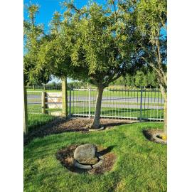Latter Days Saints Relief Society memorial