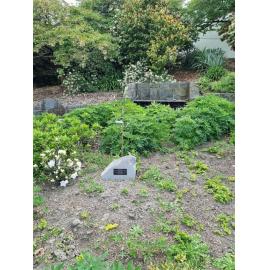 Altrusa International Women's Day tree and plaque