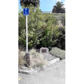 Eddie & Betty Thompson memorial trees