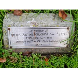 Rae Wilson memorial tree