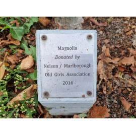 Timaru Girls' High School Old Girls memorial tree