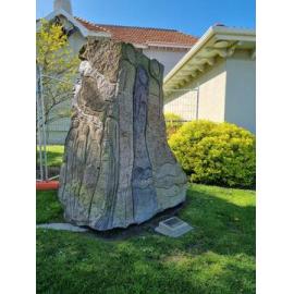 Eyes on the Face of Time