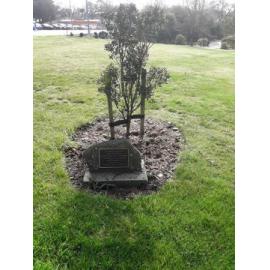 Timaru Botanic Gardens 150th Anniversary commemorative tree