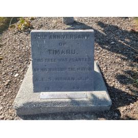 75th Anniversary of Timaru commemorative tree