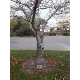 Gleniti Country Women's Institute plaque