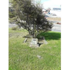 Association of Anglican Women memorial tree