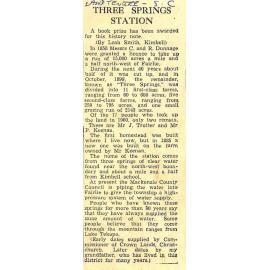 Three Springs Station