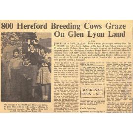 800 Hereford Breeding Cows Graze On Glen Lyon Land