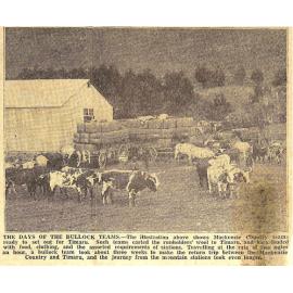 The Days of the Bullock Trains