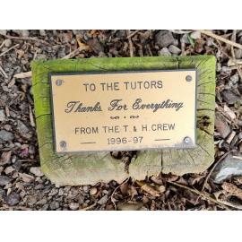 Aoraki Polytechnic Tutors Tree