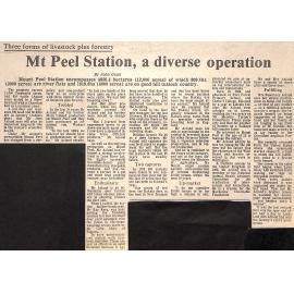 Three forms of livestock plus forestry: Mt Peel Station, a diverse operation