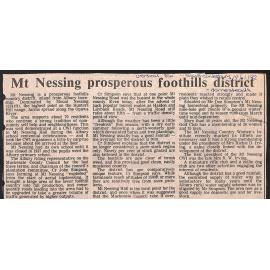 Mt Nessing prosperous foothills district