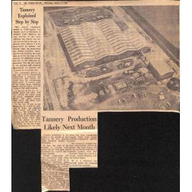 Tannery Explained Step by Step / Tannery Production Likely Next Month