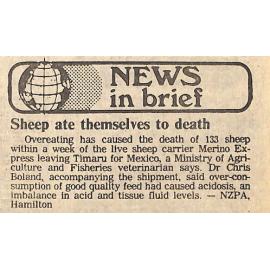 News in brief: Sheep ate themselves to death