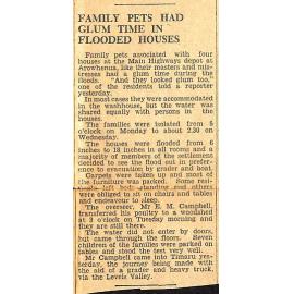 Family Pets Had Glum Times In Flooded Houses