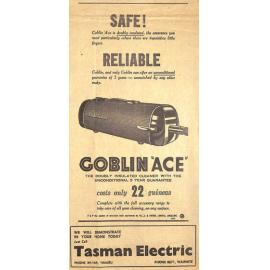 Tasman Electric (Timaru, Waimate) advertisement