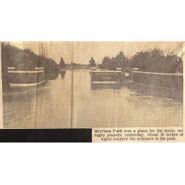 Morrison Park- place for ducks