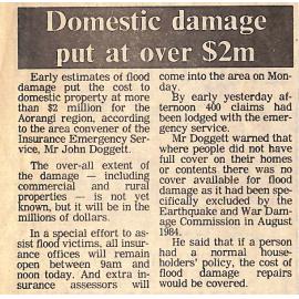 Domestic damage put at over $2m