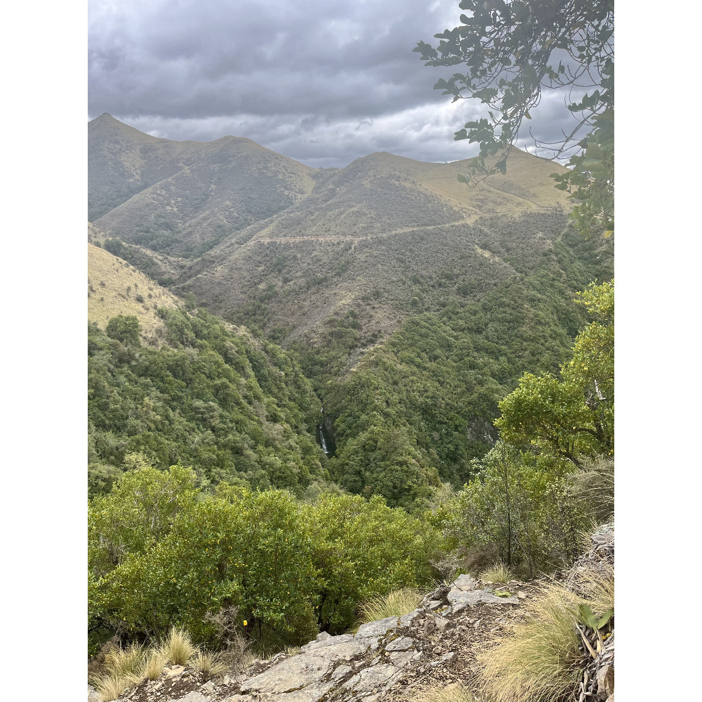 Te Tari-a-Te-Kaumira / Hunters Hills