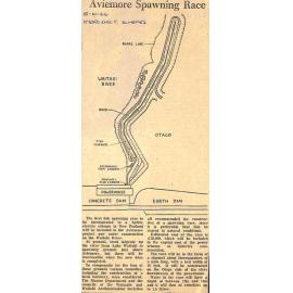 Aviemore Spawning Race