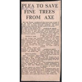Plea to save fine trees from axe