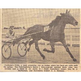 Castleton's Pride promising young trotter