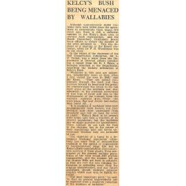 Kelcey's Bush Being Menaced By Wallabies