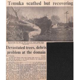 Temuka scathed but recovering: Devastated trees, debris problem at the domain