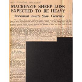 Mackenzie Sheep Loss Expected To Be Heavy: Assessment Awaits Snow Clearance