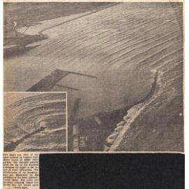 Harbour Model Findings Could Shape Policy