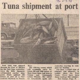 Tuna shipment at port
