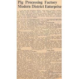 Pig Processing Factory Modern District Enterprise