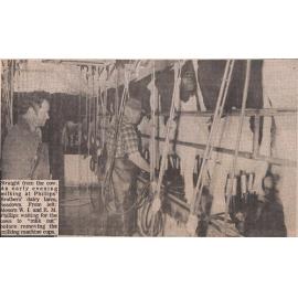 Town milk collection, production, distribution