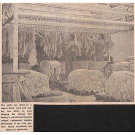 Washdyke factory boosts exports