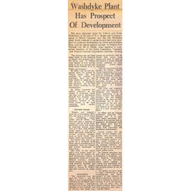 Washdyke Plant Has Prospect Of Development