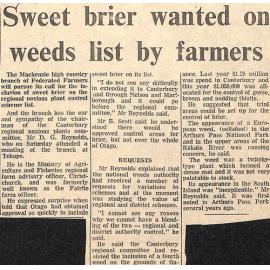 Sweet brier wanted on weeds list by farmers