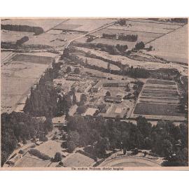 Waimate Doctors of Last Century