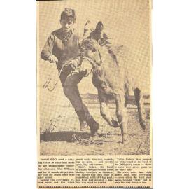 Pet donkey visits the beach most days after school